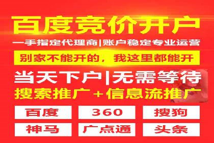成功案例：专业SEM托管服务助力企业抢占行业制高点